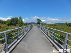 �����R����