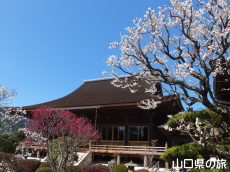 �������̔~