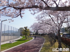 �ېV�S�N�L�O�����̍�