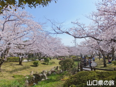 �ېV�S�N�L�O�����̍�