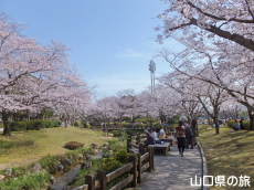 �ېV�S�N�L�O�����̍�