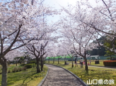 �ېV�S�N�L�O�����̍�