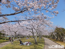 �ېV�S�N�L�O�����̍�