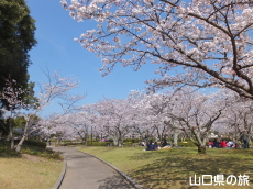 �ېV�S�N�L�O�����̍�