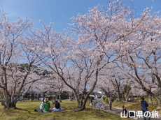 �ېV�S�N�L�O�����̍�