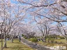 �ېV�S�N�L�O�����̍�