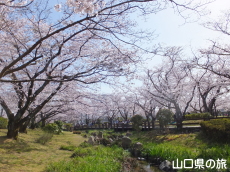 �ېV�S�N�L�O�����̍�