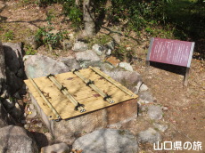 �������̈��