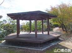 �������̓���