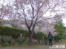 �������̃I�S�I���U�N��