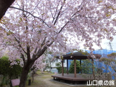 �������̃I�S�I���U�N��