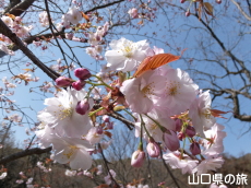 �I�S�I���U�N��