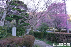 �،ˍF�򋌑��