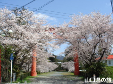 ����_�Ђ̍�