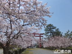 ����_�Ђ̍�