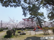 ����_�Ђ̍�