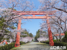 ����_�Ђ̍�