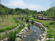 �ېV�S�N�L�O�����̉ԏҊ�