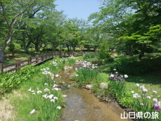 �ېV�S�N�L�O�����̉ԏҊ�