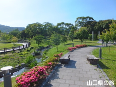 �ېV�S�N�L�O�����̃T�c�L