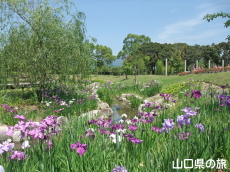 �ېV�S�N�L�O�����̉ԏҊ�