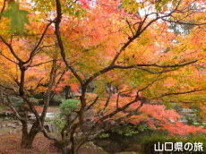 �،ː_�Ђ̍g�t