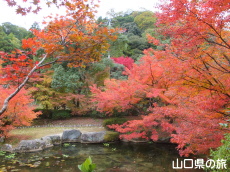 �،ˌ����̍g�t