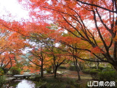 �،ˌ����̍g�t