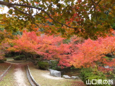 �،ˌ����̍g�t