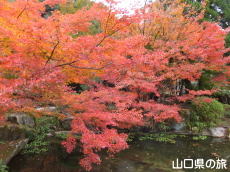 �،ˌ����̍g�t