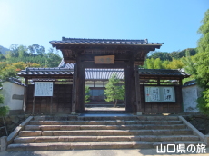 ���t������