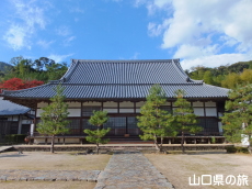 ���t���{��