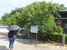 �{�_�C�W��(����)