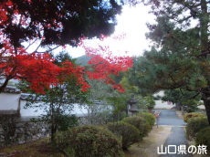 ���t���̍g�t