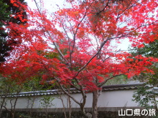 ���t���̍g�t