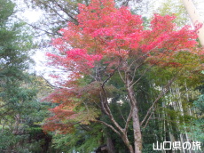 ���t���̍g�t