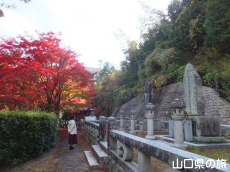 ���]�̕�ƍg�t