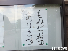 ���݂��z�c����܂�