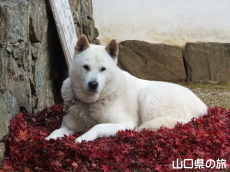 �x������}���Z�E