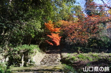 �������̍g�t