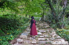 �������̐Βi