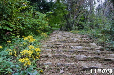 �������̃c���u�L