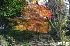 �������̍g�t