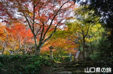 �������̍g�t