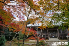 �������̍g�t