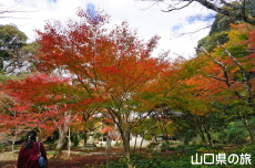 �������̍g�t