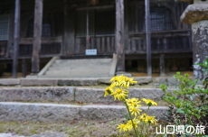 �������̃c���u�L