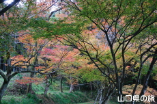 �������̍g�t