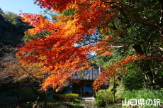 �������̍g�t