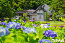 ����O�����Ǝ��z��